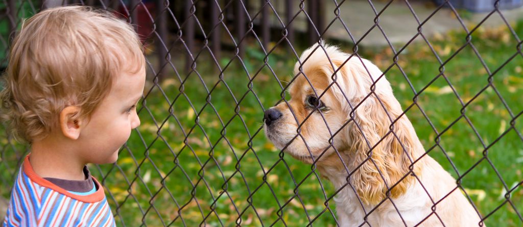 Little boy and dog behind fence - face to face look